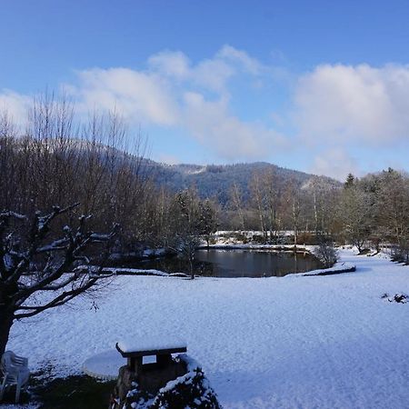 La Maison Et L'Etang - Grand Terrain Prive Vagney 외부 사진